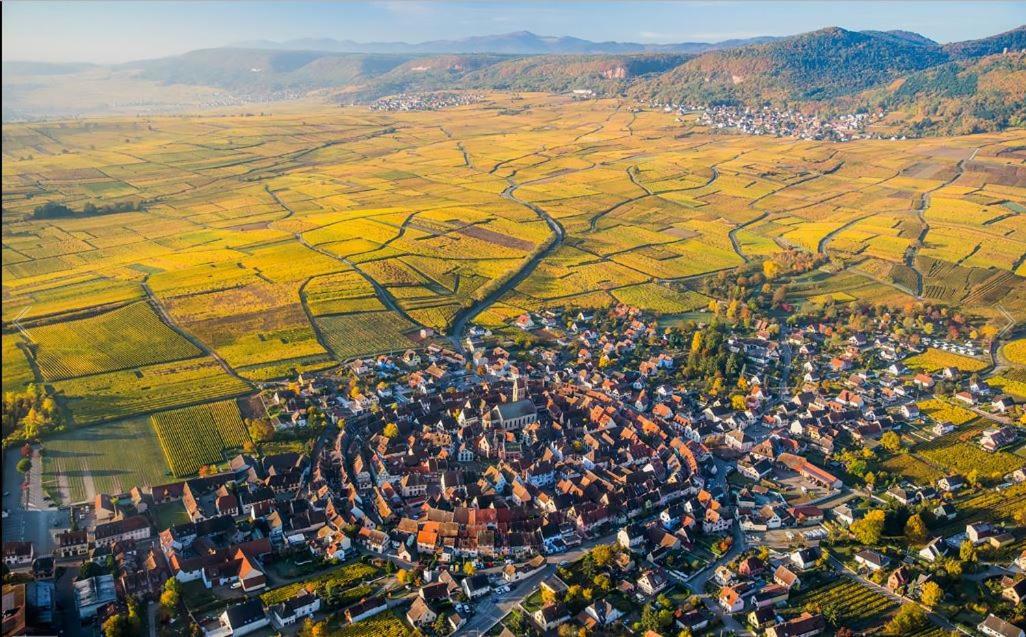 Duplex Saint Lustre, View Over Castle And Storks, 5 Mn From Colmar Eguisheim Ngoại thất bức ảnh