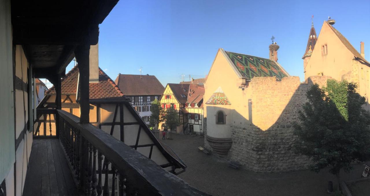 Duplex Saint Lustre, View Over Castle And Storks, 5 Mn From Colmar Eguisheim Ngoại thất bức ảnh
